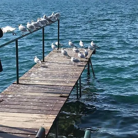 Cozy, Family-Friendly 2 Bed Apt With Parking Ohrid Exterior photo